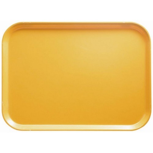 PLATEAU EURONORM 'CAMTRAY' DIM. 53X37CM. COULEUR 171 TOSCANE OR CAMBRO