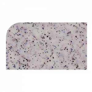 DIENBLAD POLY VERSA TRAY AFM. 40x27 CM. KLEUR A83 GRANITE 