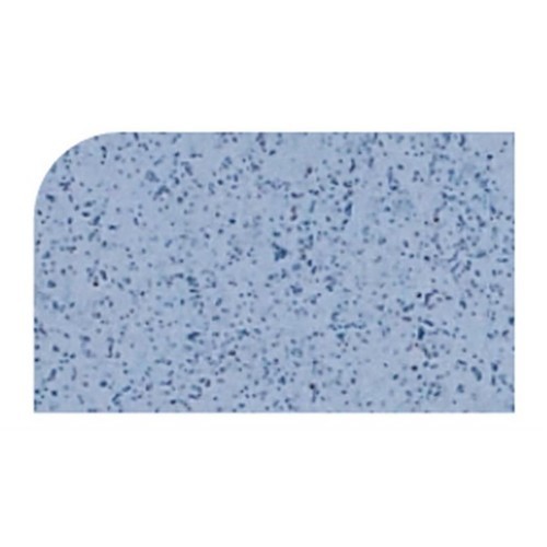 PLATEAU POLY VERSA PLATEAU DIM. 46x32,5 CM. COULEUR A36 BLEU TACHETÉ