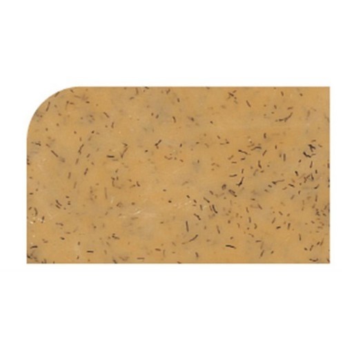 PLATEAU POLY VERSA PLATEAU DIM. 46x32,5 CM. COULEUR A25 JAUNE MAGIQUE